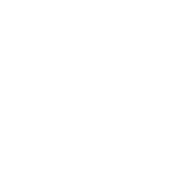 Consejo de participación